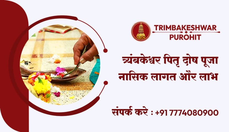 पितृ दोष पूजा त्र्यंबकेश्वर नासिक लागत और लाभ