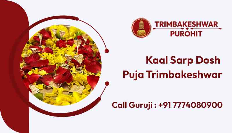 Kaal Sarp Dosh Puja Trimbakeshwar