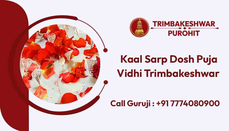 Kaal Sarp Dosh Puja Vidhi Trimbakeshwar