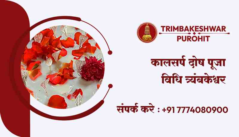 कालसर्प दोष पूजा विधि त्र्यंबकेश्वर
