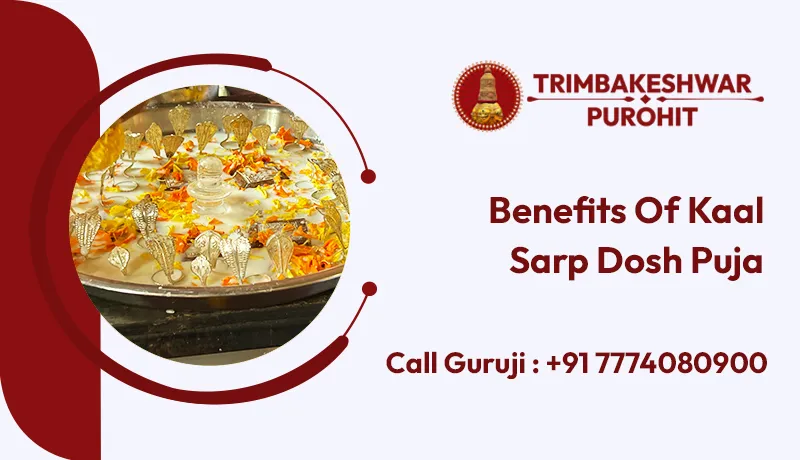 Benefits Of Kaal Sarp Dosh Puja